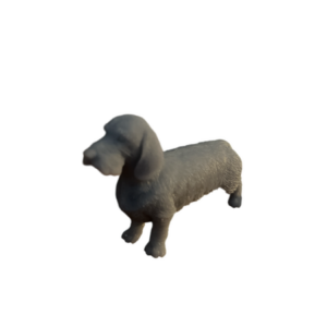 Teckel Ruwhaar vrouwtje